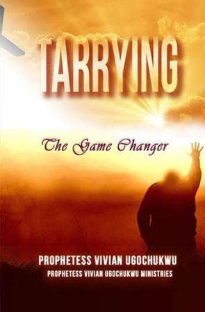 Cover of Tarrying The Game Changer