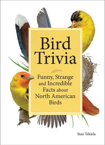 Cover of Bird Trivia: Funny, Strange and Incredible Facts About North American Birds