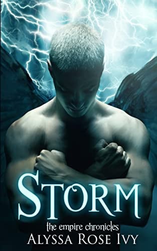 Cover of Storm
