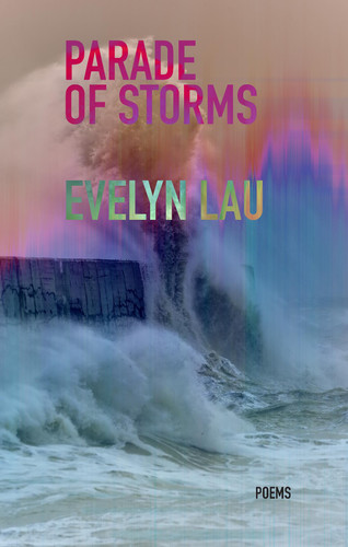 Cover of Parade of Storms