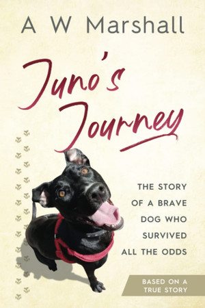 Cover of Juno's Journey