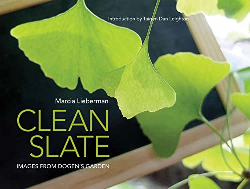 Cover of Clean Slate