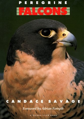 Cover of Peregrine Falcons