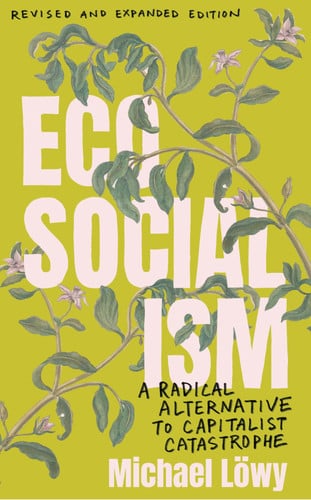 Cover of Ecosocialism: A Radical Alternative to Capitalist Catastrophe
