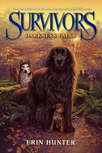 Cover of Darkness Falls