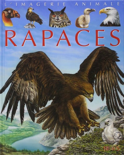 Cover of Orlando