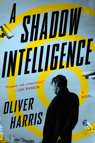 Cover of A Shadow Intelligence