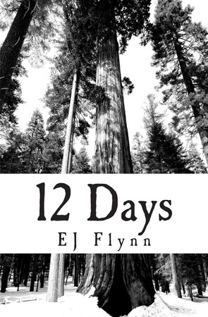 Cover of Twelve Days