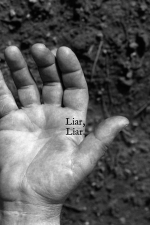 Cover of Liar, Liar.