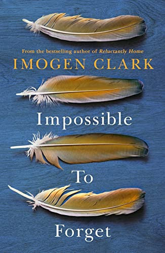 Cover of Impossible to Forget