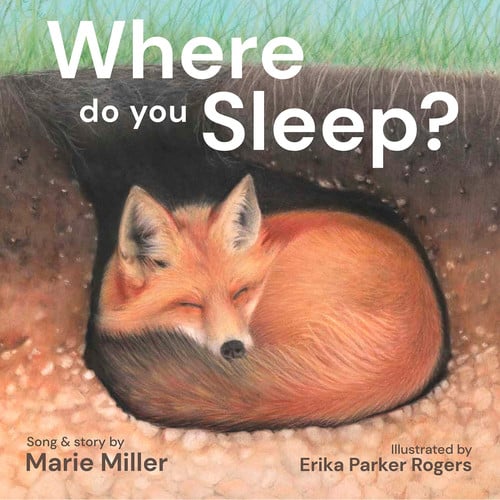 Cover of Where Do You Sleep?