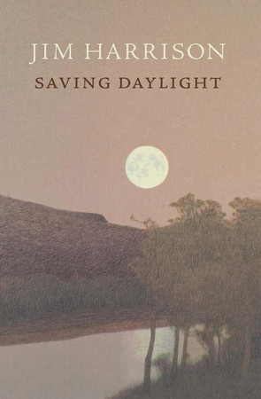 Cover of Saving Daylight