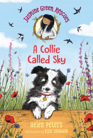 Cover of Jasmine Green Rescues: A Collie Called Sky