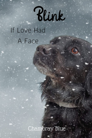 Cover of BLINK: If Love Had a Face