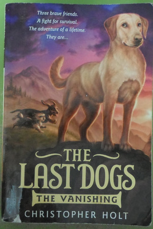 Cover of The Vanishing