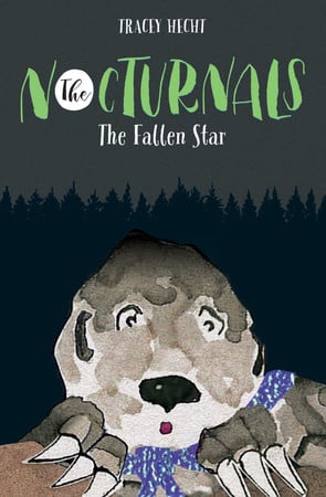 Cover of The Fallen Star