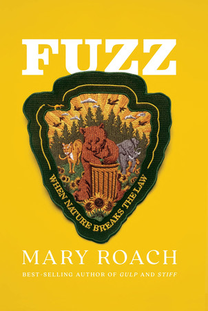Cover of Fuzz
