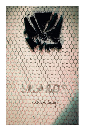 Cover of Shards