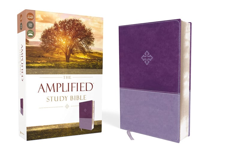 Cover of Amplified Study Bible [Purple]