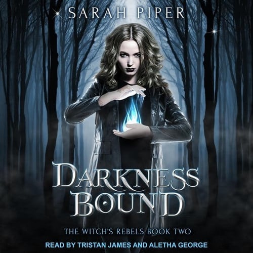 Cover of Darkness Bound: A Reverse Harem Paranormal Romance (The Witch's Rebels Series)