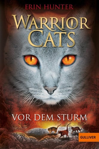 Cover of Rising Storm