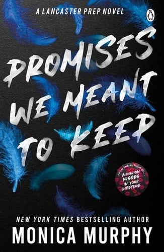 Cover of Promises We Meant to Keep