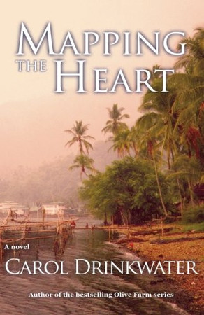 Cover of Mapping the Heart