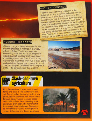 Cover of Wild Fires