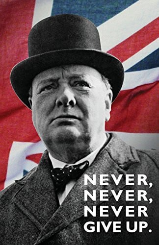 Cover of Never, Never, Never Give Up