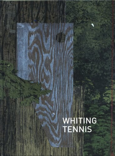 Cover of Amazement Park