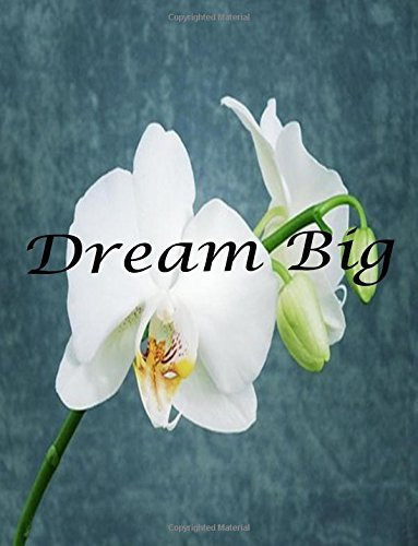 Cover of Dream Big