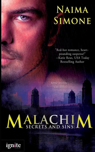 Cover of Secrets and Sins Malachim