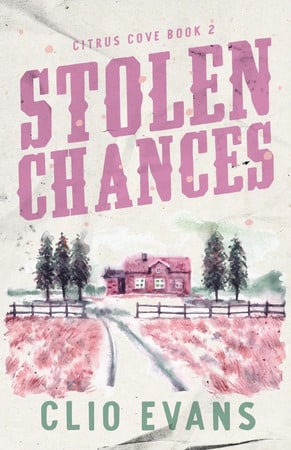 Cover of Stolen Chances: A Single Mom, MMF, Small Town Romance Suspense