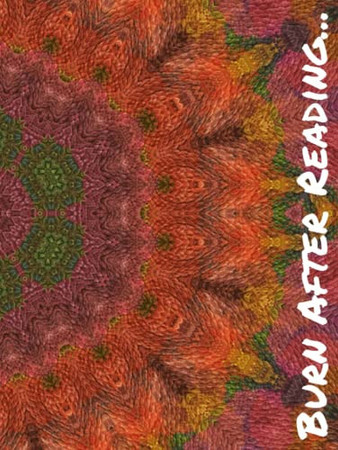 Cover of Journal - Notebook: Burn After Reading