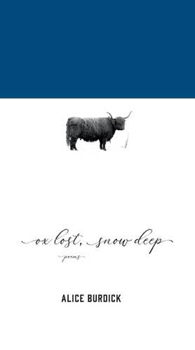 Cover of Ox Lost, Snow Deep