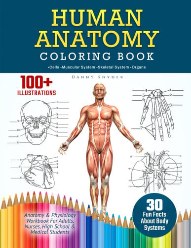 Cover of Human Anatomy Coloring Book: 100+ Illustrations In The Anatomy & Physiology Workbook For Adults, Nurses, High School & Medical Students With 30 Fun Facts About Body Systems (A Did You Know?)