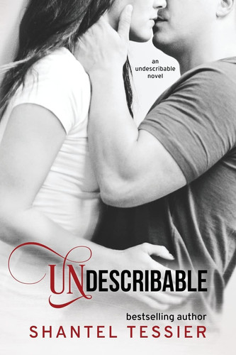 Cover of Undescribable