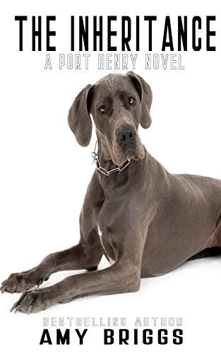 Cover of The Inheritance