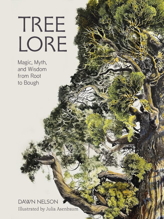 Cover of Tree Lore: Magic, Myth, and Wisdom From Root to Bough