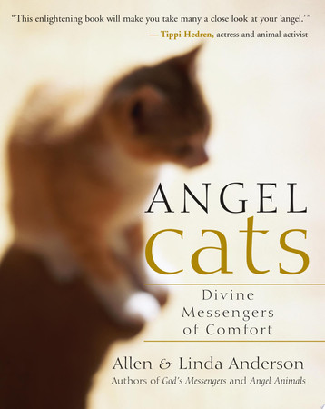 Cover of Angel Cats
