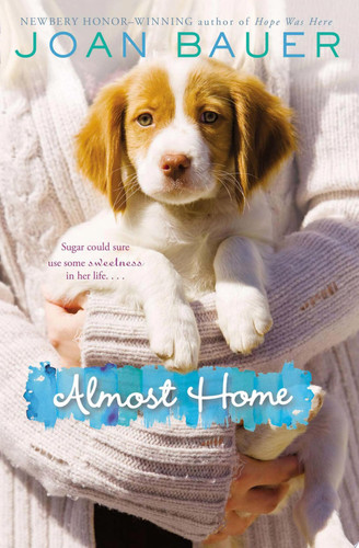 Cover of Almost Home