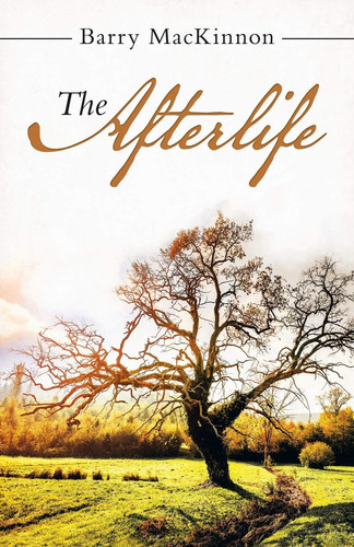 Cover of The Afterlife