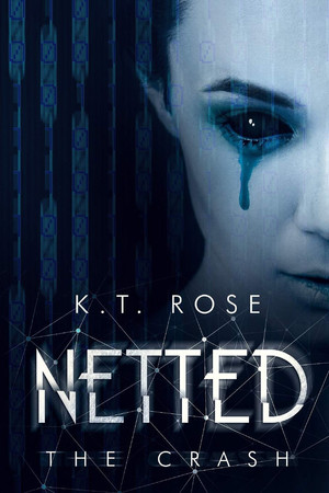 Cover of Netted The Crash