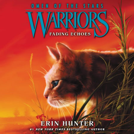 Cover of Fading Echoes