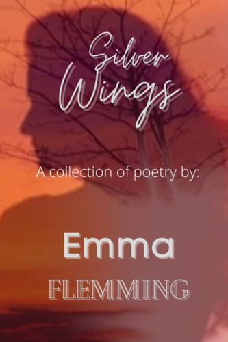 Cover of Silver Wings