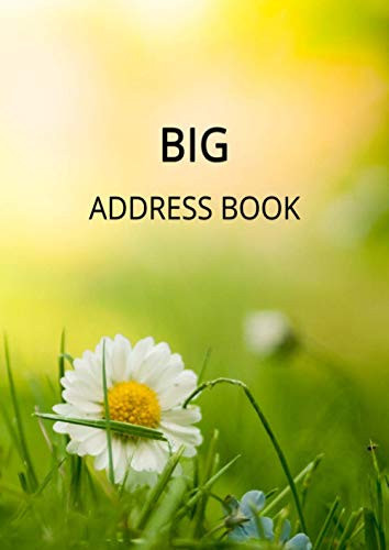 Cover of Big Address Book