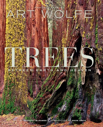 Cover of Trees Between Earth and Heaven