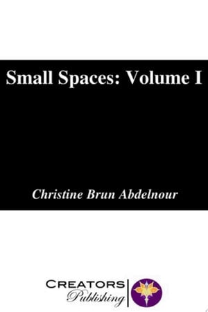 Cover of Small Spaces: Volume I