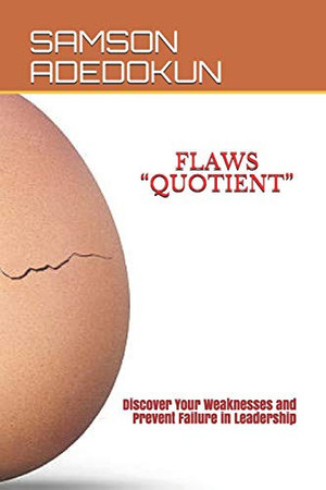 Cover of Flaws