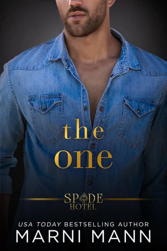Cover of The One